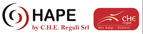 CHE REGALI SRL