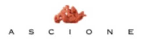 ASCIONE GIOVANNI & FIGLIO 